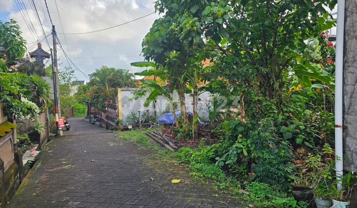 Small Land Size Good for Villa Rental Business