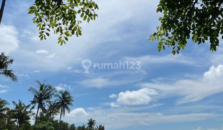 TANAH LOS PANTAI TEBING KEREN HARGA MURAH 2