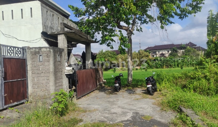 Cheap House for Rent in Sempidi with Rice Field View 2