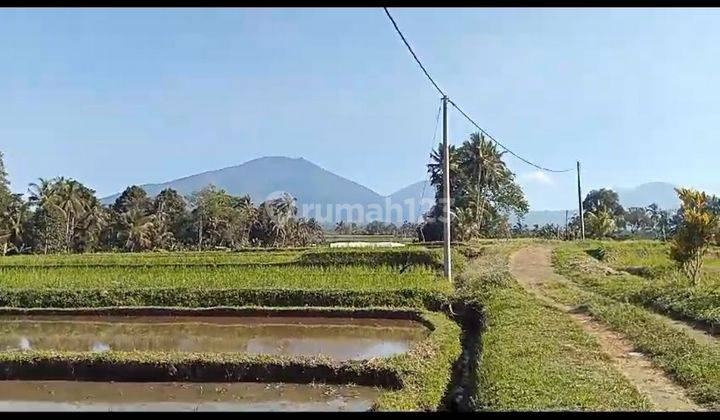 LAND VIEW MOUNTAIN FIELD CHEAP PRICE COOL AIR 2