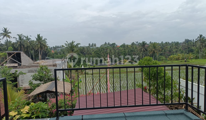 Affordable Villa in Pejeng Kawan, Ubud, Move-In Ready with Rice Field View