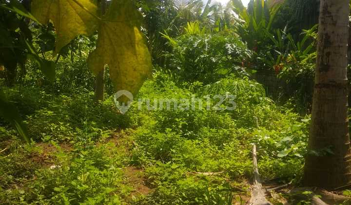 Tanah Dalam Komplek Villa Siap Bangun Harga Murah Tanah Dalam Komplek Villa Siap Bangun Harga Murah