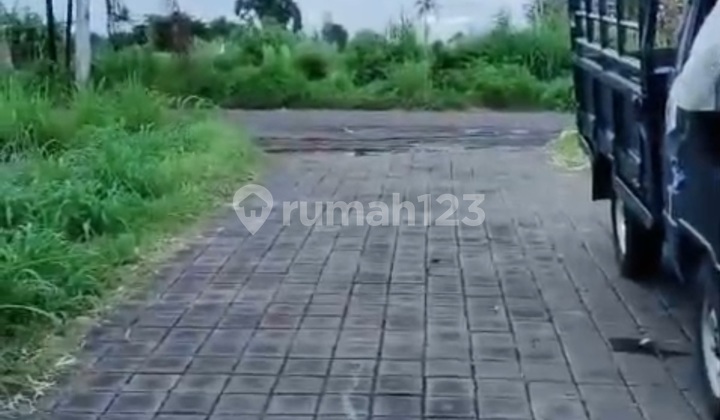 Tanah Murah Pinggir Jalan Pering View Sawah