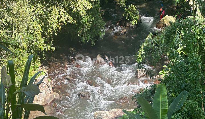 The Coolest Land Los Sungai in Ubud Area Suitable Villa Complex 2