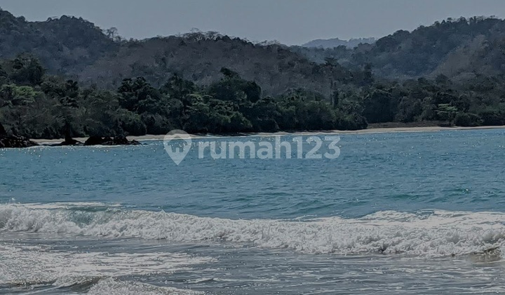 Land Lot Cliff Beach White Sand Super Beautiful