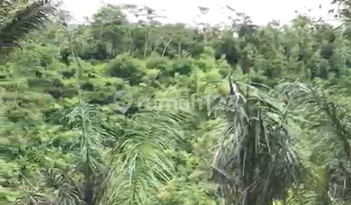 Land View Forest Valley Ready to Build Affordable Price