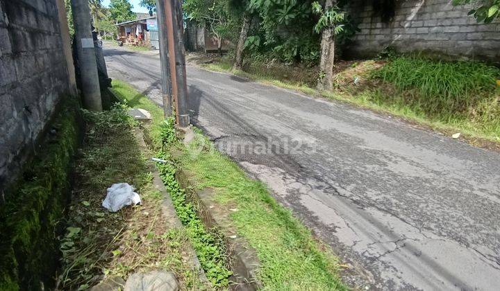 Tanah Bonus Rumah Dekat Jalan Utama Di Mas Ubud  2