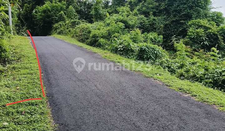 Dijual Tanah Murah Lokasi@selemadeg Dekat Pantai Bagus Dan Luas Dijual Tanah Murah Lokasi@selemadeg Dekat Pantai Bagus Dan Luas