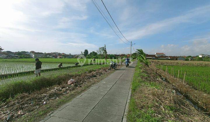 TANAH UKURAN KECIL DI DAWAS CANGGU VIEW SAWAH COCOK VILLA 2