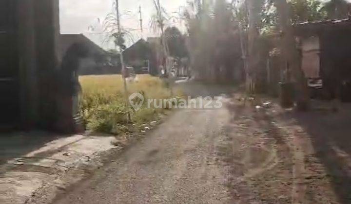 Tanah Pinggir Jalan Aspal Cocok Villa Rental Harga Murah  2