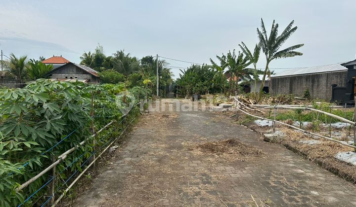 7 Mnit ke Pantai Kedungu Siap Bangun Villa Rental 7 Mnit ke Pantai Kedungu Siap Bangun Villa Rental