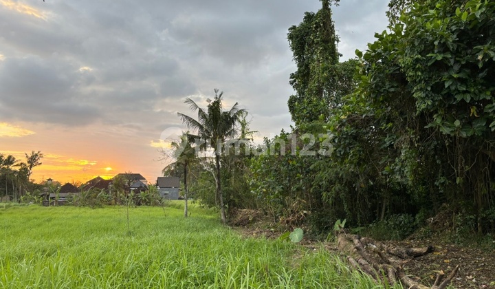 Tanah Murah View Sunset Cantik Lodtunduh Ubud