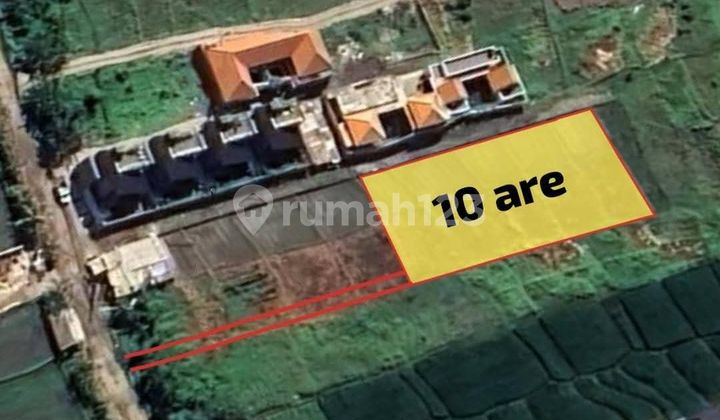 Land For Sale At Seseh Beach Good Strategic Can Be Rented Land For Sale At Seseh Beach Good Strategic Can Be Rented