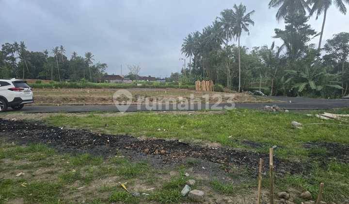 Land for Sale Location in Pejeng 50M from Main Road Land for Sale Location in Pejeng 50M from Main Road