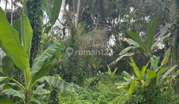 Tanah View Sungai Hutan Keren Dekat Central Ubud Siap Bangun 2