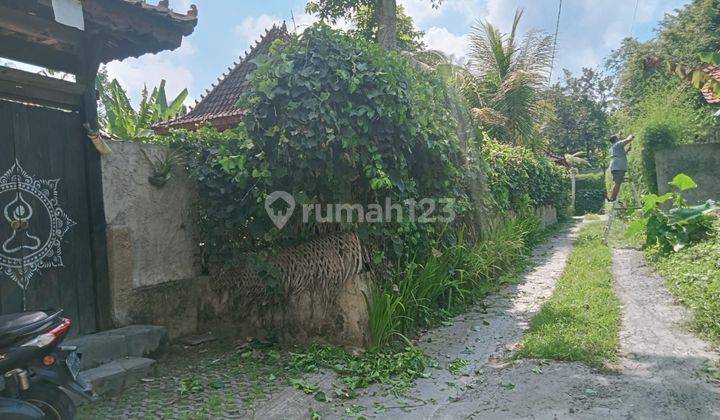 TANAH ZONA KUNING DEKAT CENTRAL UBUD LINGKUNGAN VILLA 1