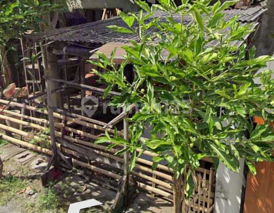 Sell Cheap Land in Canggu Very Good and Special