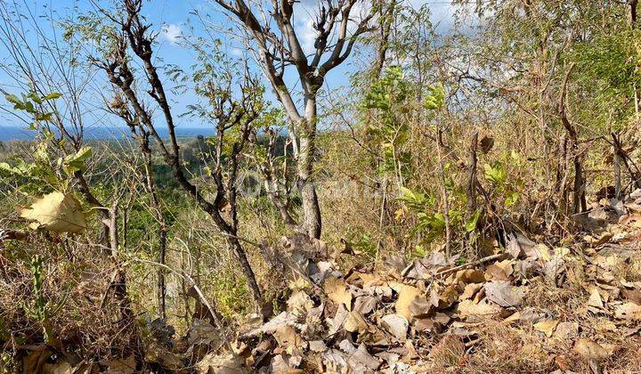 Tanah Sewa Ocean View Sangat Murah Siap Bangun Vila  2