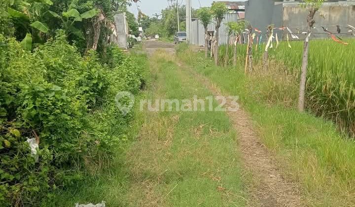 Tanah Murah Tukad Badung Siap Bangun Rumah Pribadi