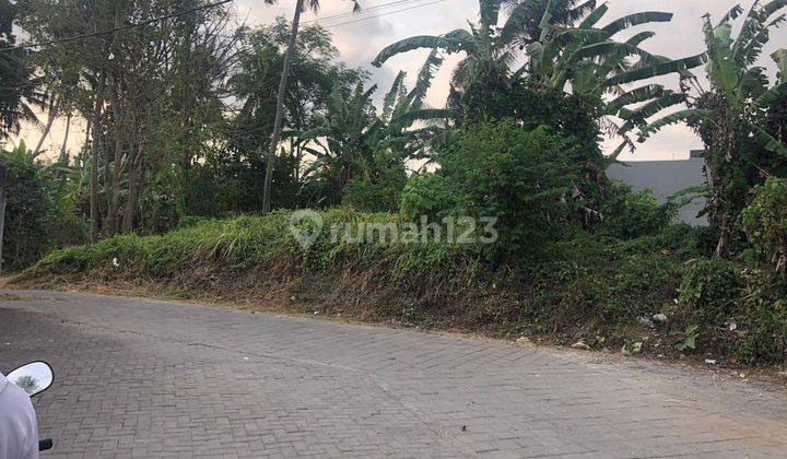 LAND FOR RENT IN YELLOW ZONE READY TO BUILD VILLA RENTAL 1