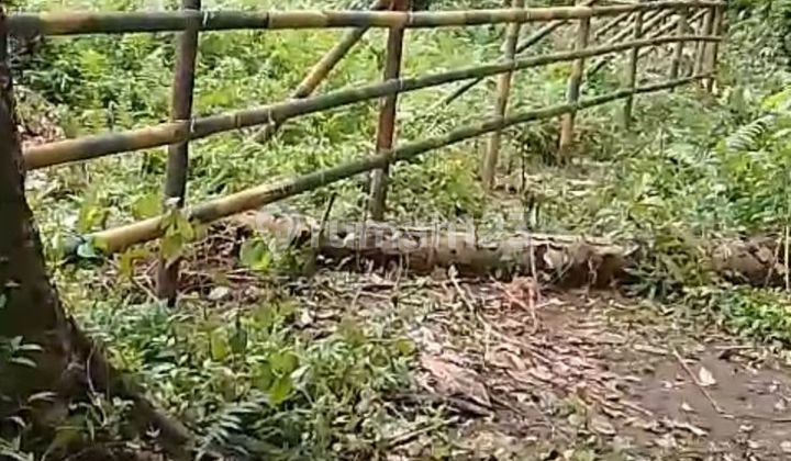 Tanah Zona Kuning Paling Termurah Di Ubud 