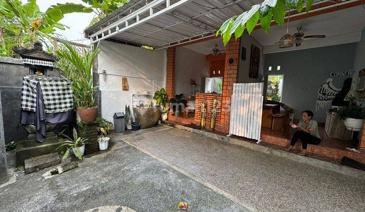 Villa Besar Super Murah Di Ubud Cocok Untuk Bisnis Rental  2