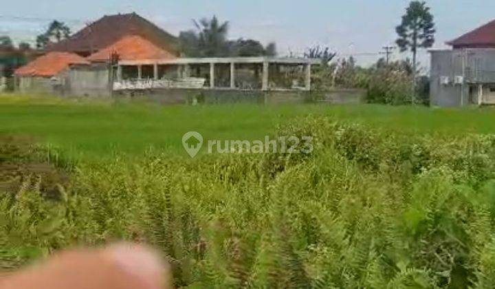 Beautiful Rice Field View Land Villa Environment Cheap Price 1