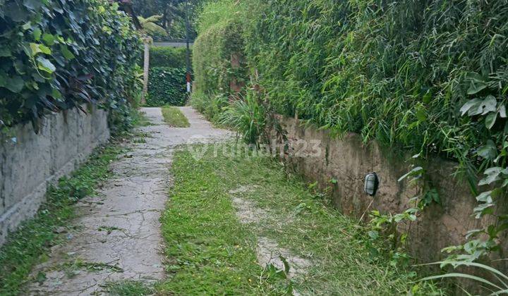 TANAH ZONA KUNING DEKAT CENTRAL UBUD LINGKUNGAN VILLA 2