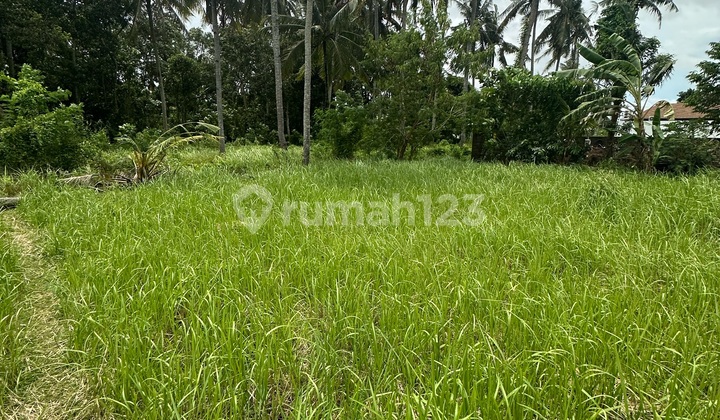 Land Ready to Build Yellow Zone Lodtunduh Ubud