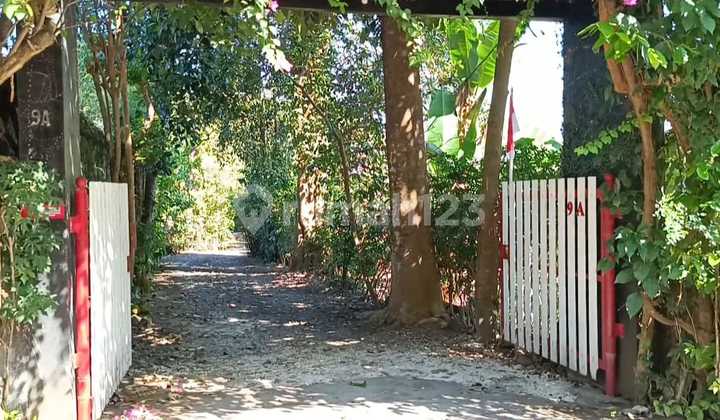 Tanah Super Murah View Sungai Hutan Keren Tanah Super Murah View Sungai Hutan Keren