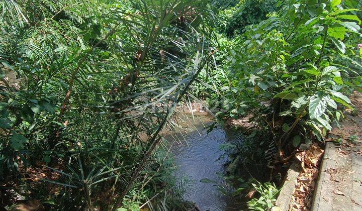 TANAH VIEW SUNGAI DAN HUTAN ZONA KUNING TERMURAH  1