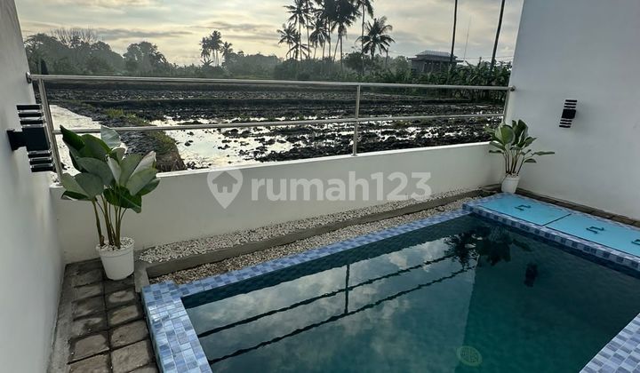 Disewakan Villa Baru Disakah Ubud Bagus Disewakan Villa Baru Disakah Ubud Bagus