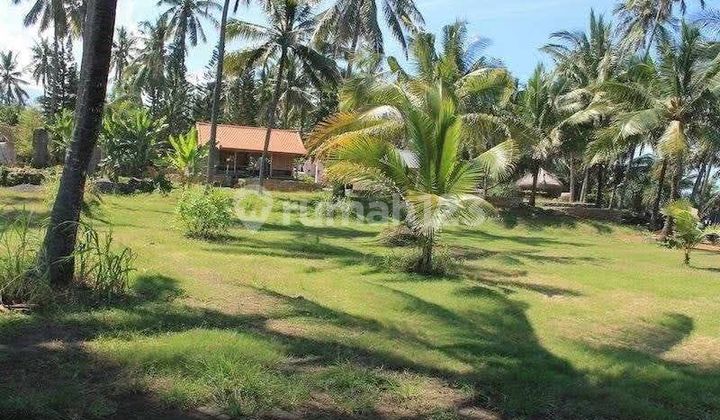 Jual Tanah Murah Beach Front Karangasem Strategis Jual Tanah Murah Beach Front Karangasem Strategis