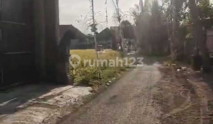 Dijual Tanah Area Lodtunduh Zona Kuning Strategis Dijual Tanah Area Lodtunduh Zona Kuning Strategis