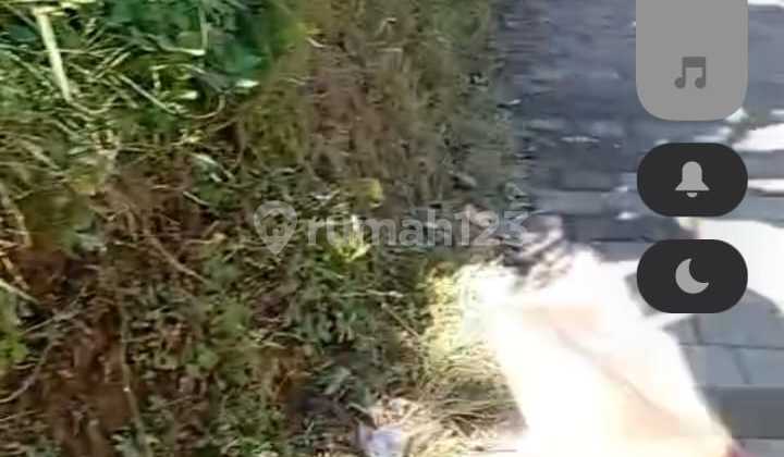 Land for Sale in Diketewel, Gianyar, Prime and Strategic Location Land for Sale in Diketewel, Gianyar, Prime and Strategic Location