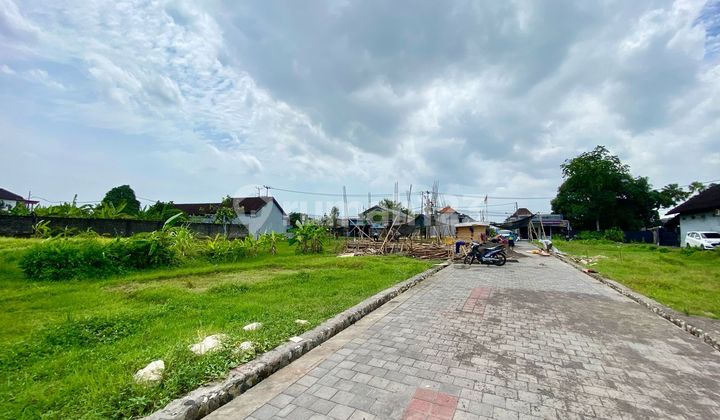 Dijual Tanah Murah Dikerobokan Dekat Canggu Bagus Dan Strategis Dijual Tanah Murah Dikerobokan Dekat Canggu Bagus Dan Strategis