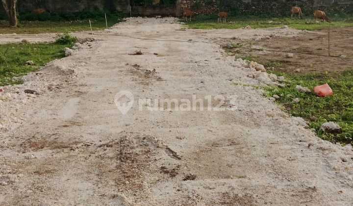 Disewakan Tanah Di Kuta Strategis Dan Murah Disewakan Tanah Di Kuta Strategis Dan Murah