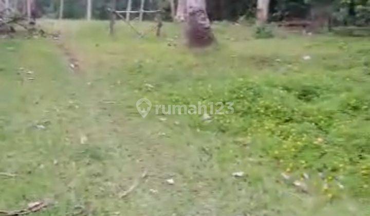 Tanah Kebun Cocok Investasi Harga Murah Jalan Bagus 1