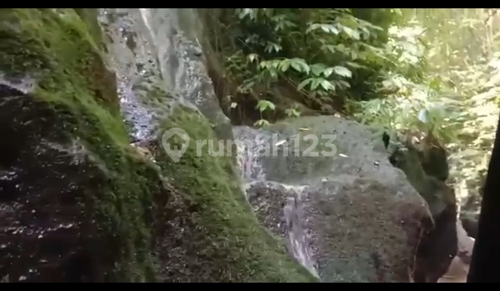 Tanah View Sungai Hutan Alami Super Cantik Siap Bangun