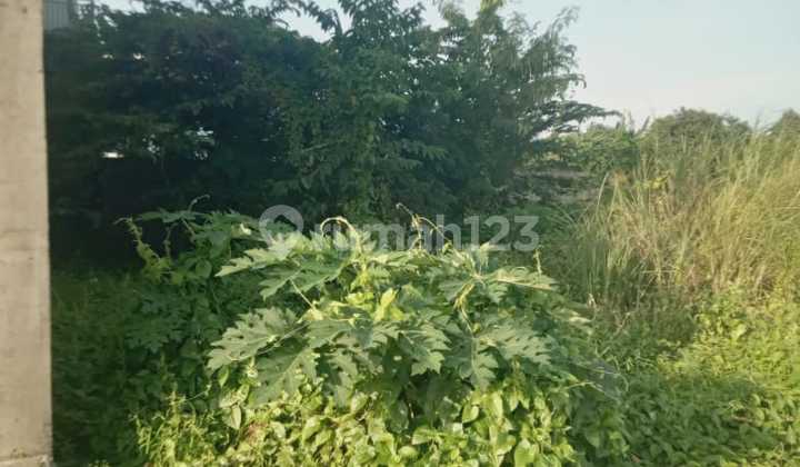 Vacant Land Ready to Build Villa in Munggu Near the Beach