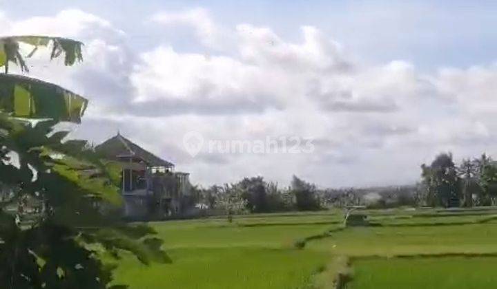 LAND FOR RENT IN YELLOW ZONE SUITABLE FOR VILLA RENTAL BEAUTIFUL VIEW 1