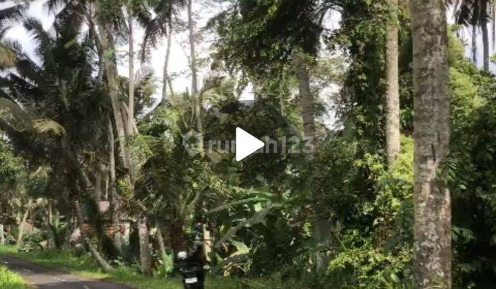 TANAH VIEW SUNGAI HUTAN CANTIK COCOK VILLA PRIBADI 2