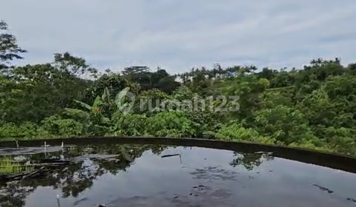 Tanah Bonus Struktur Hotel Bintang 5 Super Murah Di Ubud 