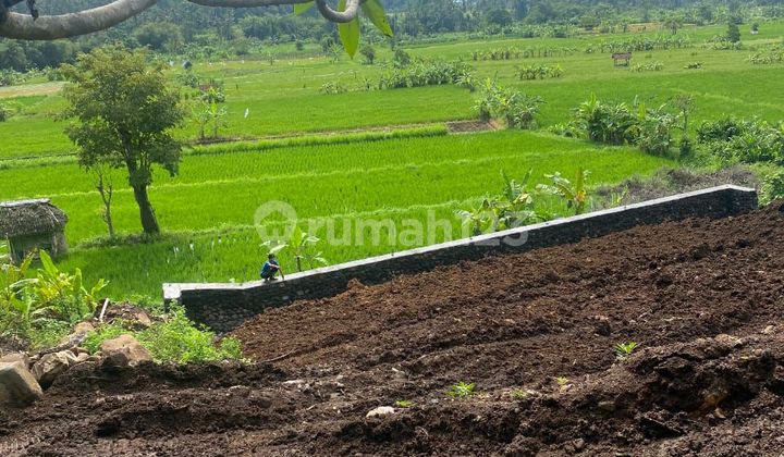 Oceanview Super Keren Dekat Virgin Beach Siap Bangun Villa Oceanview Super Keren Dekat Virgin Beach Siap Bangun Villa