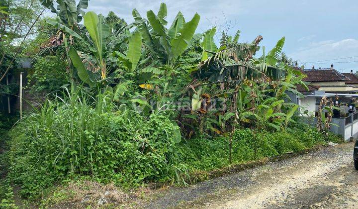 TANAH ZONA KUNING DEKAT PANTAI MUNGGU COCOK VILA RENTAL 1