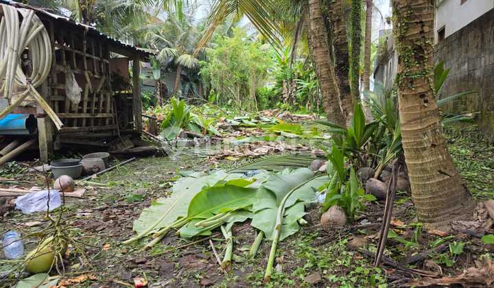 Tanah Zona Pink Siap Bangun Komplek Villa Ubud Tanah Zona Pink Siap Bangun Komplek Villa Ubud