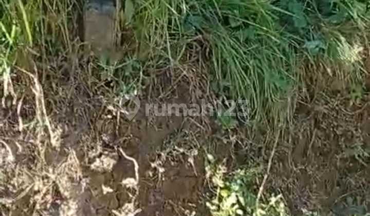 Land for Sale in Diketewel, Gianyar, Prime and Strategic Location Land for Sale in Diketewel, Gianyar, Prime and Strategic Location