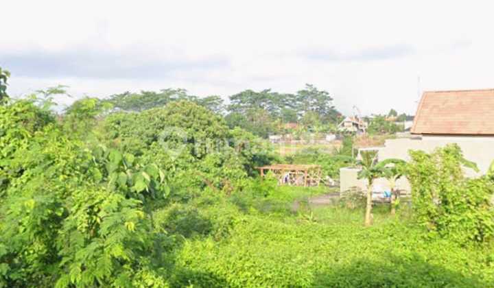 Dijual Tanah Area Ubud Tegenungan Bagus Dan Strategis
