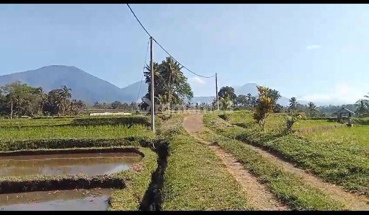 LAND VIEW MOUNTAIN FIELD CHEAP PRICE COOL AIR 2