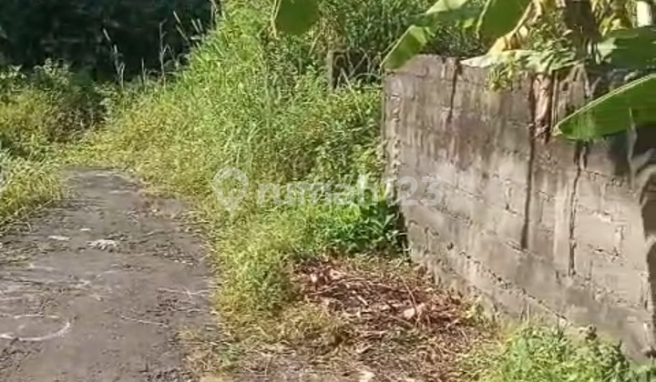 Tanah Siap Bangun Rumah Pribadi Atau Villa Rental  1